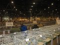 IMG_8768